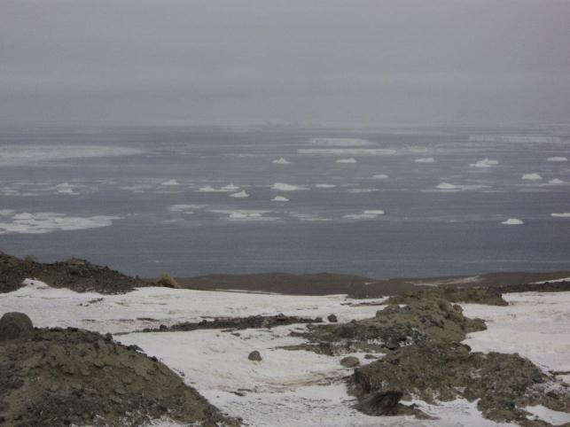 Orilla rocosa con manchones de nieve. Al fondo, el mar antártico, en el que flotan algunos bloques de hielo. 
