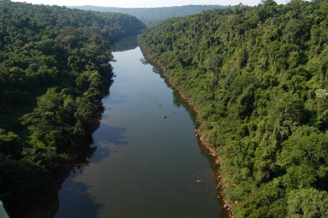 Reserva de Biosfera Yabotí