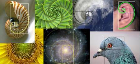 Collage