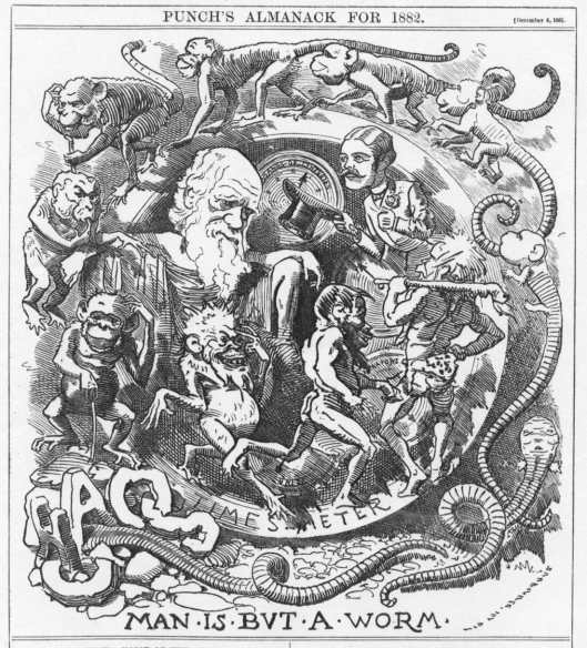 Lombriz Darwin