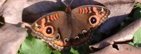 mariposario.jpg