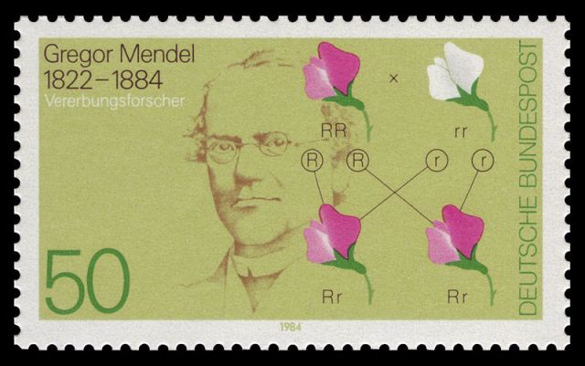 Gregor Mendel: la historia en los genes 