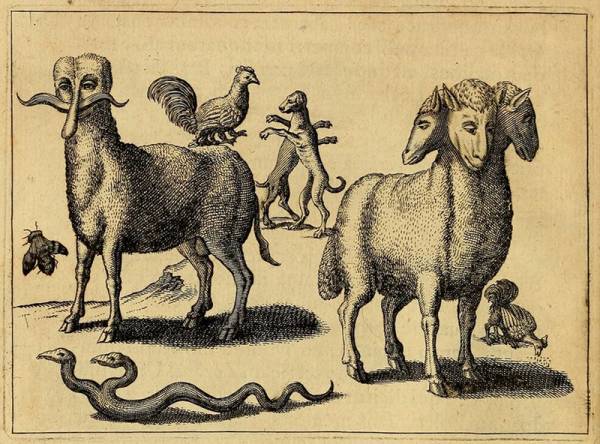 Monstruos ilustrados por Fortunio Liceti en 1665