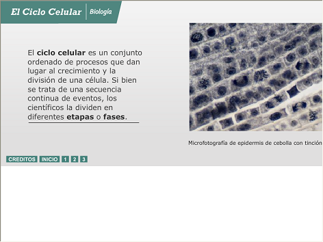 Imagen de infografía