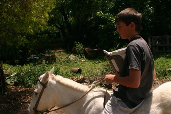 Net a caballo