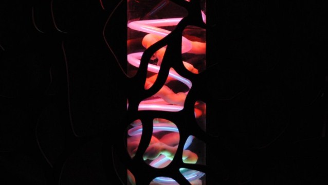 Recorridos: muestra multisensorial