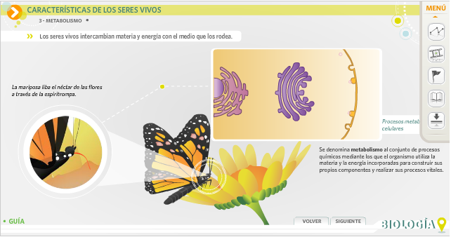 diseño instruccional