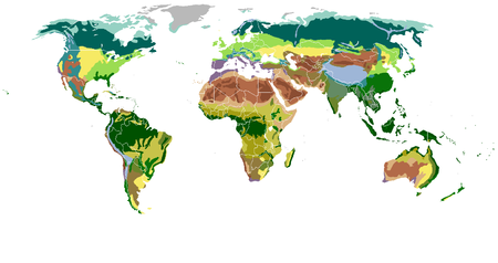 distribución de la vegetación en el mundo