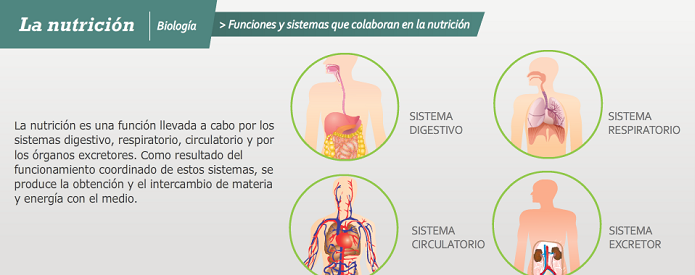 Infografía nutrición