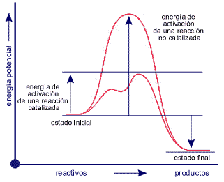 gráfico 1