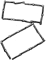 Rect&aacute;ngulos construidos con f&oacute;sforos